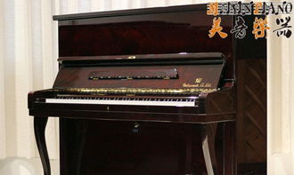 名師引路，琴韻悠長 專業(yè)鋼琴培訓(xùn)的藝術(shù)與科學(xué)
